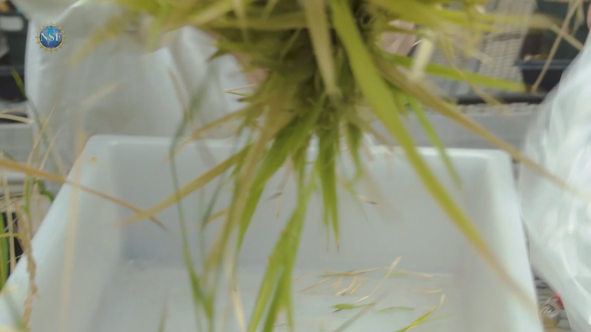 Thumbnail image for Science 360