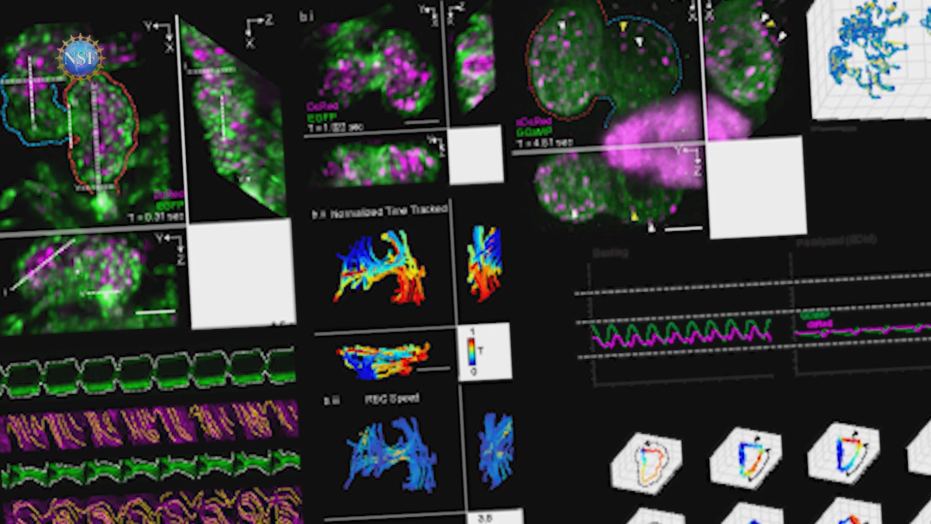 Thumbnail image for Science 360