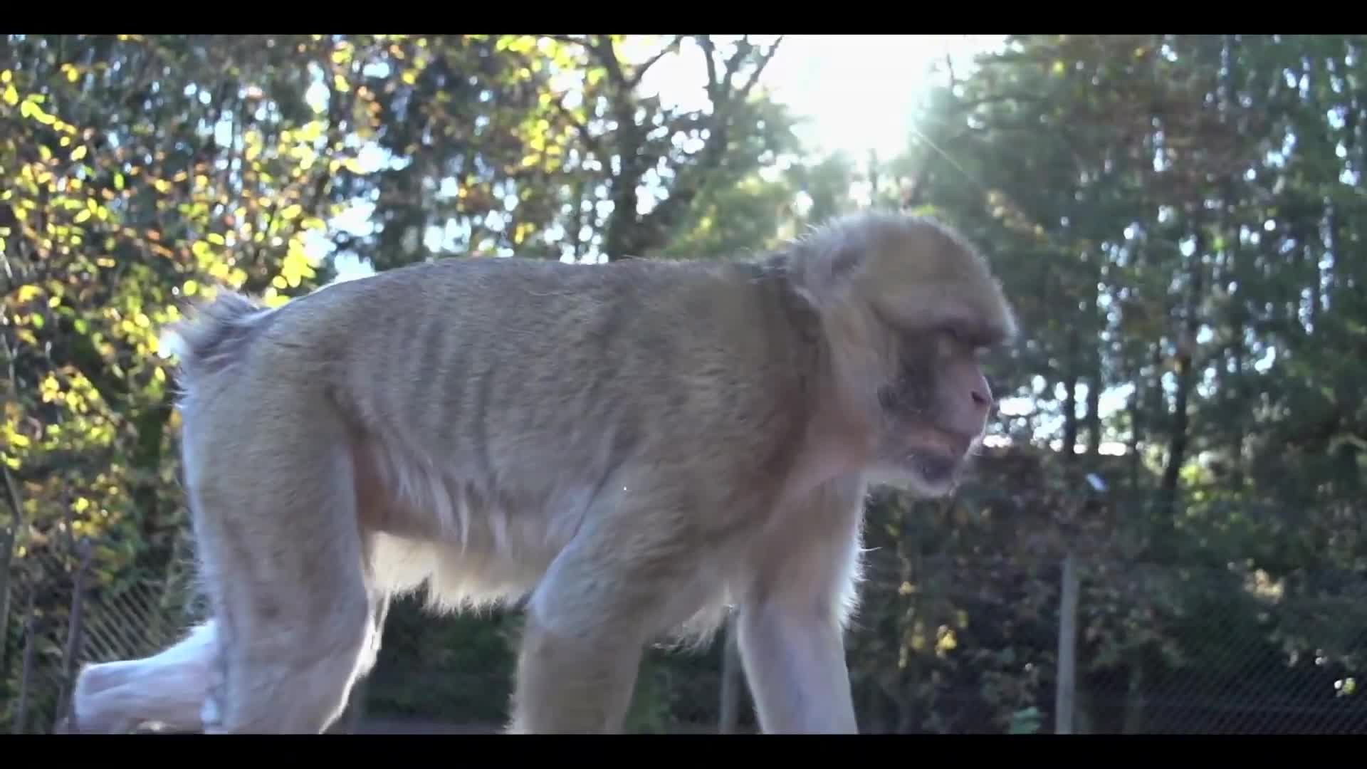 Thumbnail image for NASA X: Setting the Standards for Unmanned Aircraft