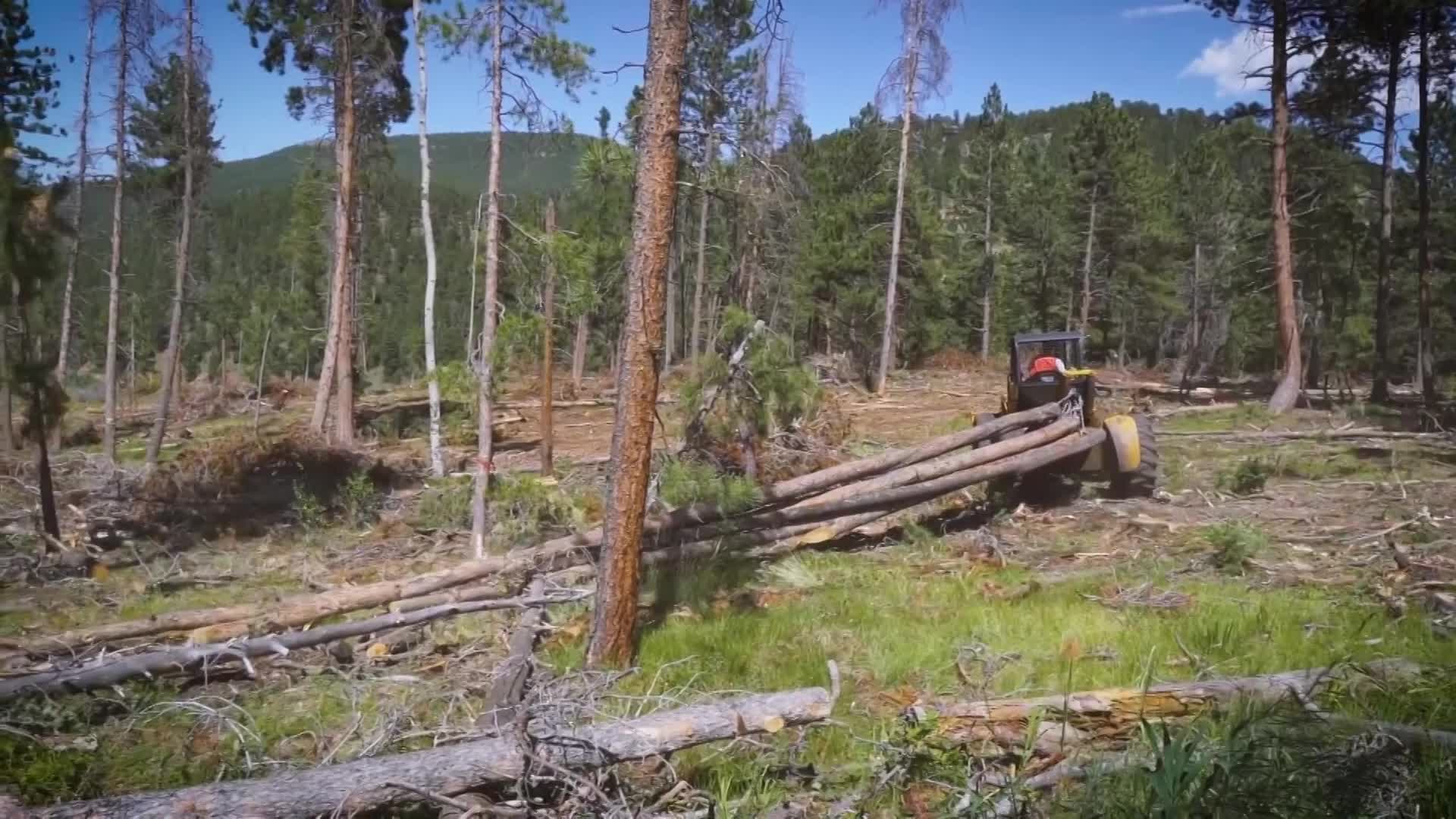 An In Depth Look at JeffCO Forestry