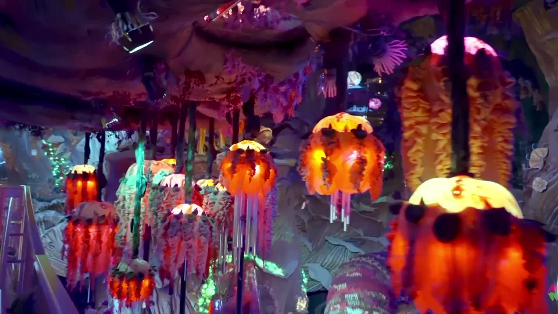 Art Scene - Meow Wolf