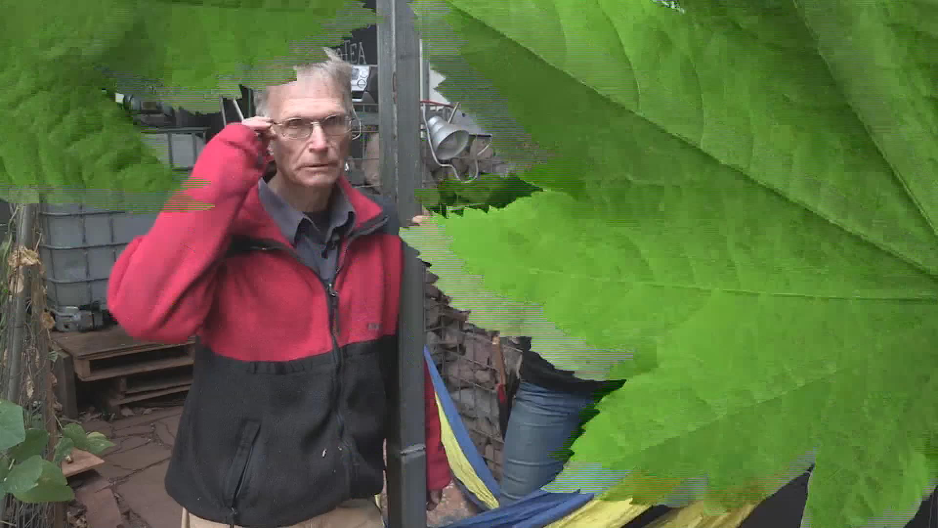 Thumbnail image for Grow Up