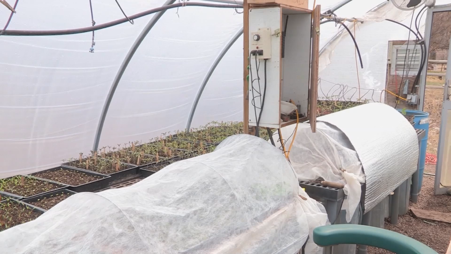 Thumbnail image for Grow Up