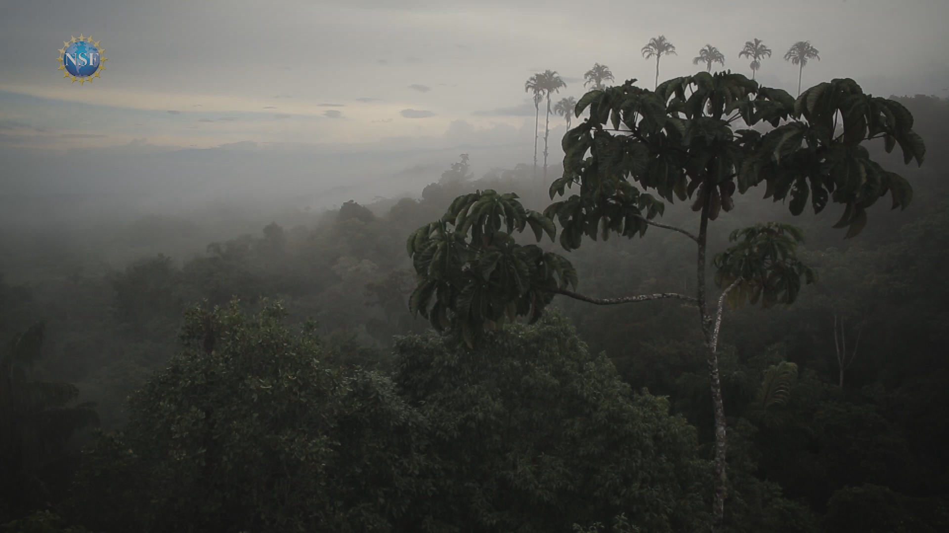 Thumbnail image for Science 360