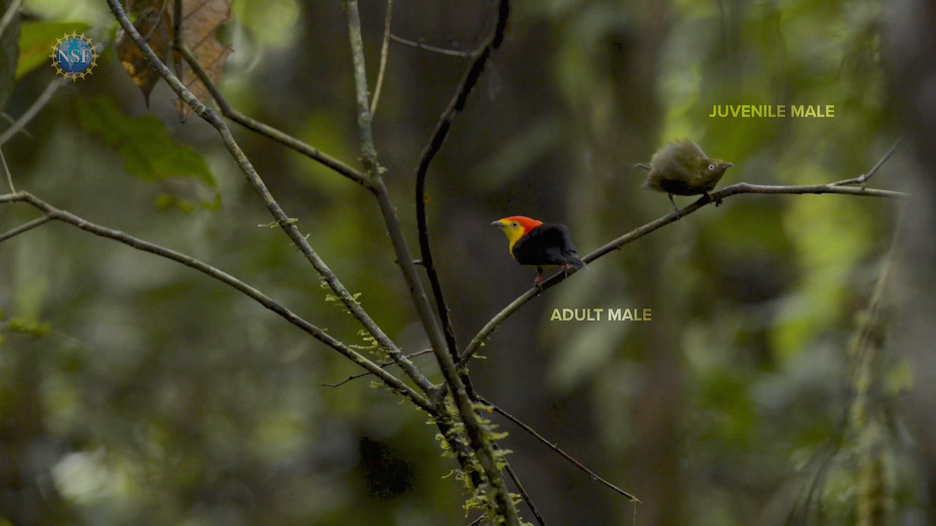 Thumbnail image for Science 360