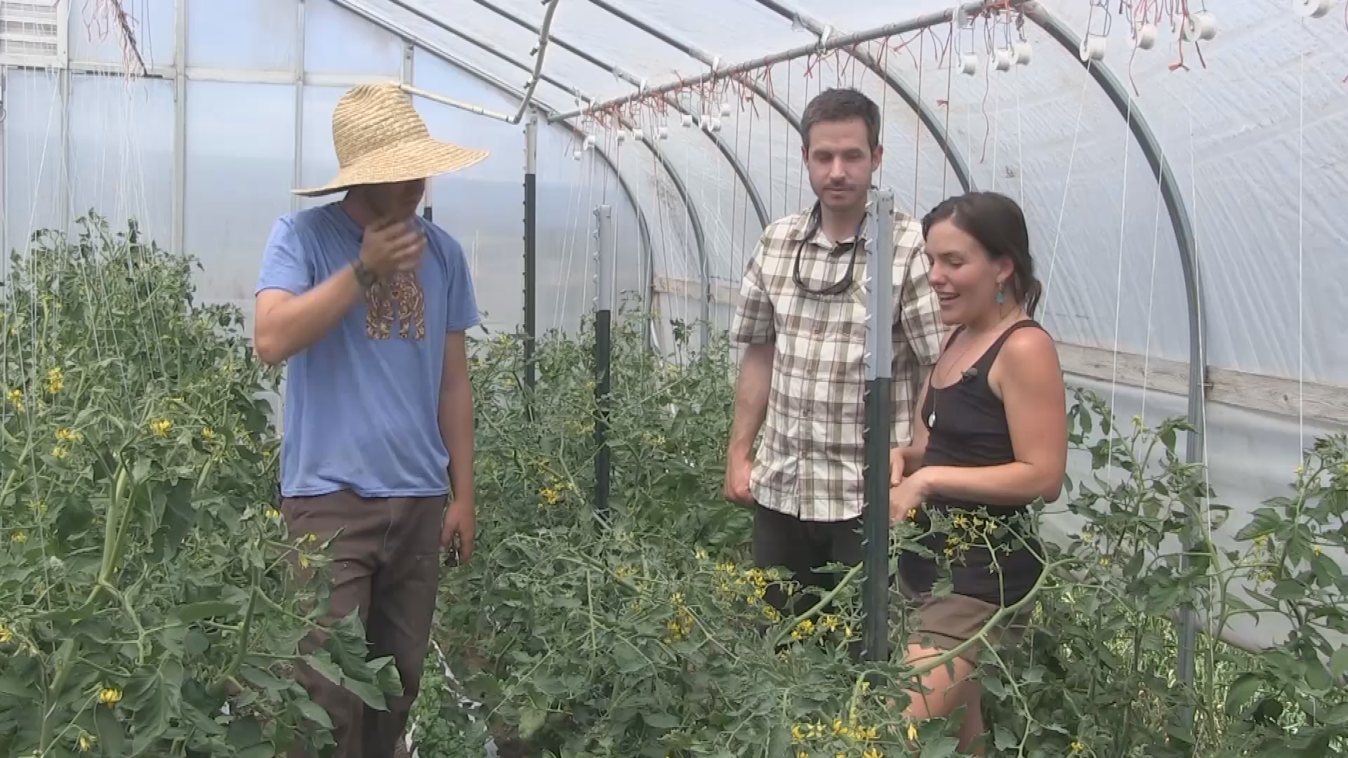 Thumbnail image for Grow Up